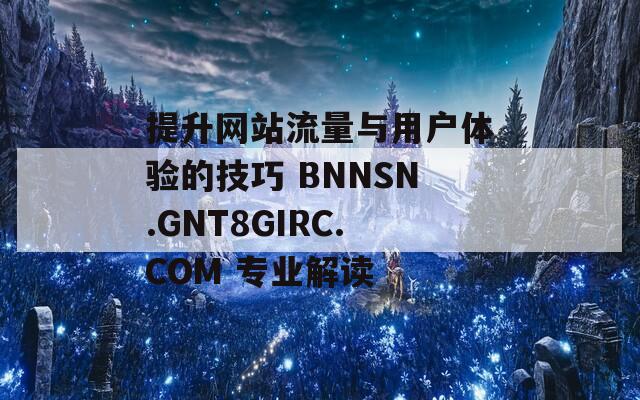 提升网站流量与用户体验的技巧 BNNSN.GNT8GIRC.COM 专业解读