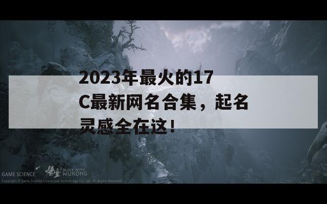 2023年最火的17C最新网名合集，起名灵感全在这！