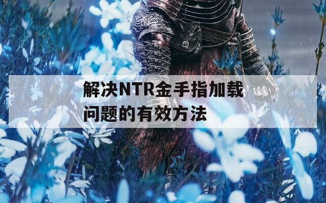 解决NTR金手指加载问题的有效方法