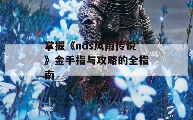 掌握《nds风雨传说》金手指与攻略的全指南