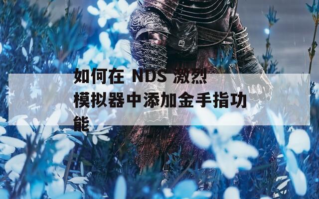 如何在 NDS 激烈模拟器中添加金手指功能