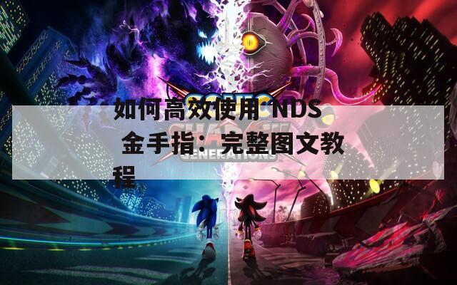 如何高效使用 NDS 金手指：完整图文教程