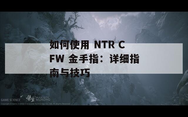 如何使用 NTR CFW 金手指：详细指南与技巧