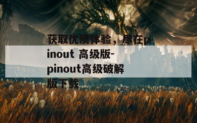 获取优质体验，尽在pinout 高级版-pinout高级破解版下载