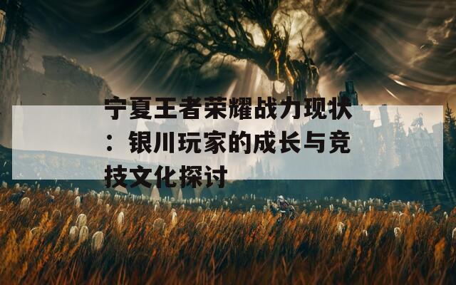 宁夏王者荣耀战力现状：银川玩家的成长与竞技文化探讨