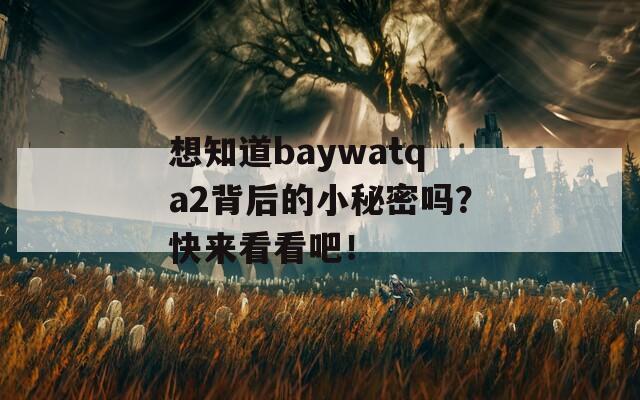 想知道baywatqa2背后的小秘密吗？快来看看吧！