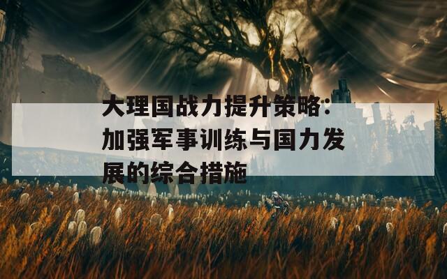 大理国战力提升策略：加强军事训练与国力发展的综合措施