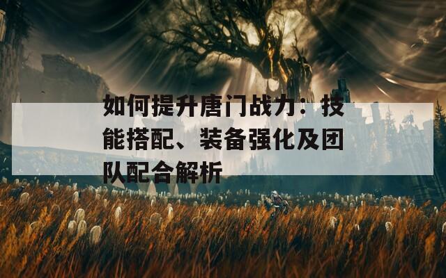 如何提升唐门战力：技能搭配、装备强化及团队配合解析