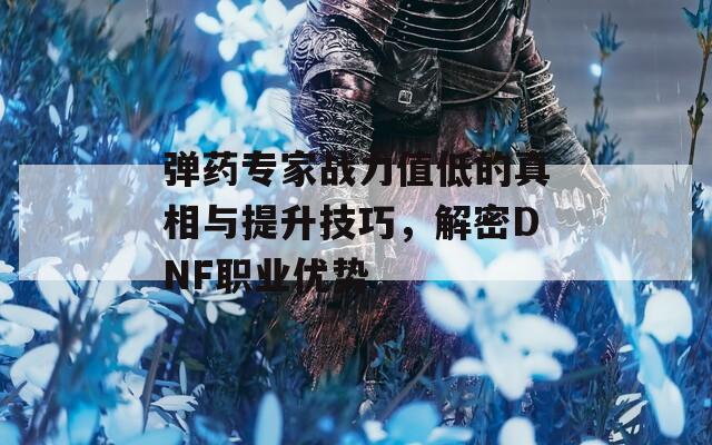 弹药专家战力值低的真相与提升技巧，解密DNF职业优势