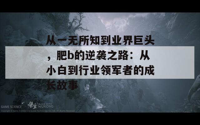 从一无所知到业界巨头，肥b的逆袭之路：从小白到行业领军者的成长故事