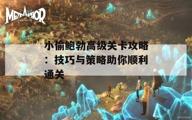 小偷鲍勃高级关卡攻略：技巧与策略助你顺利通关