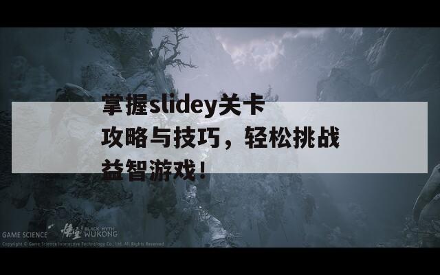 掌握slidey关卡攻略与技巧，轻松挑战益智游戏！