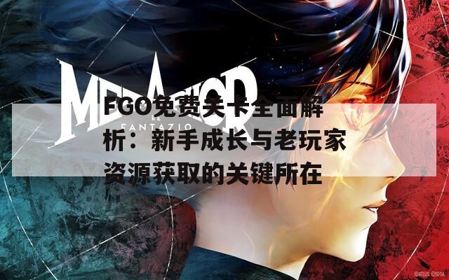 FGO免费关卡全面解析：新手成长与老玩家资源获取的关键所在