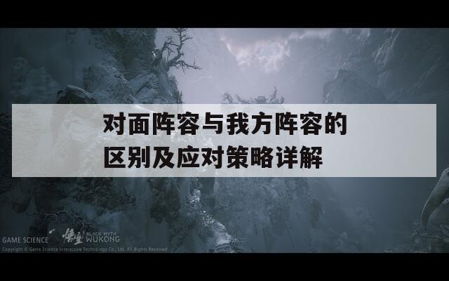 对面阵容与我方阵容的区别及应对策略详解