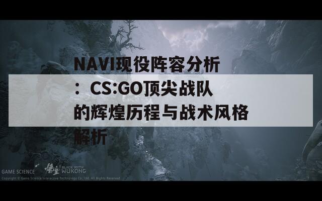 NAVI现役阵容分析：CS:GO顶尖战队的辉煌历程与战术风格解析