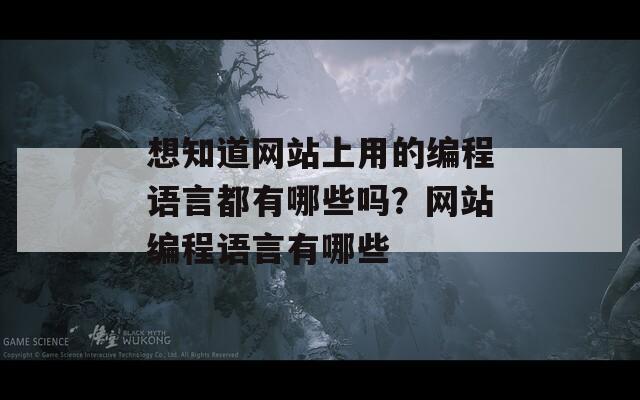 想知道网站上用的编程语言都有哪些吗？网站编程语言有哪些