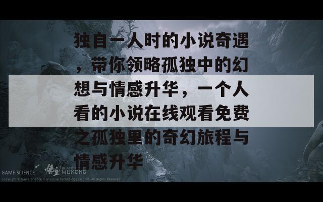 独自一人时的小说奇遇，带你领略孤独中的幻想与情感升华，一个人看的小说在线观看免费之孤独里的奇幻旅程与情感升华