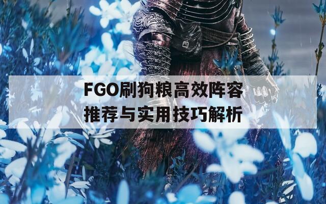 FGO刷狗粮高效阵容推荐与实用技巧解析