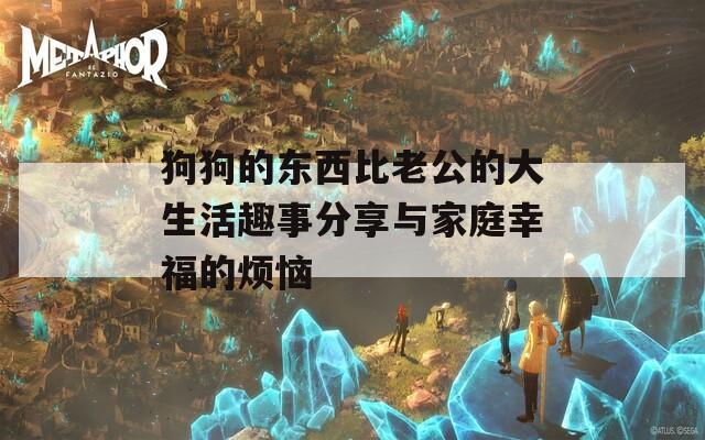 狗狗的东西比老公的大生活趣事分享与家庭幸福的烦恼