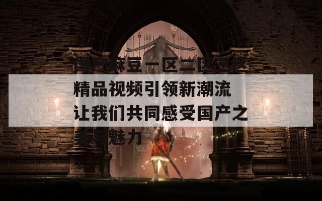 国产麻豆一区二区三区精品视频引领新潮流 让我们共同感受国产之美与魅力