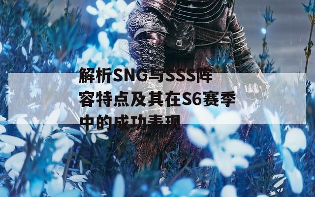 解析SNG与SSS阵容特点及其在S6赛季中的成功表现