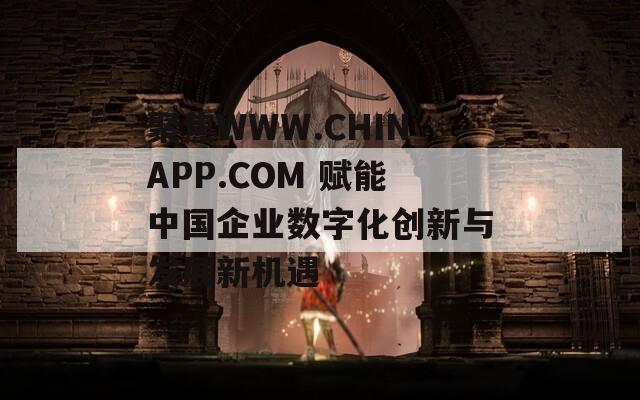 聚焦WWW.CHINAPP.COM 赋能中国企业数字化创新与发展新机遇