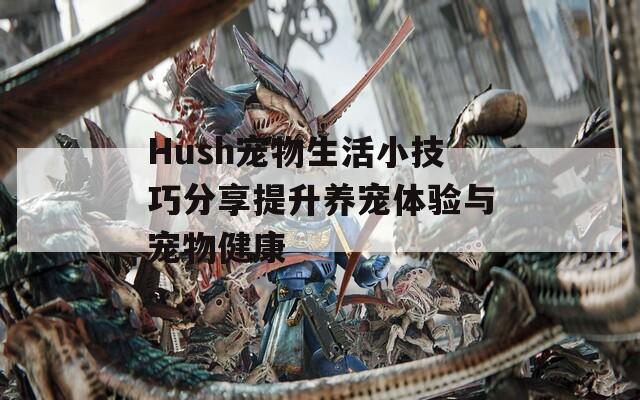 Hush宠物生活小技巧分享提升养宠体验与宠物健康