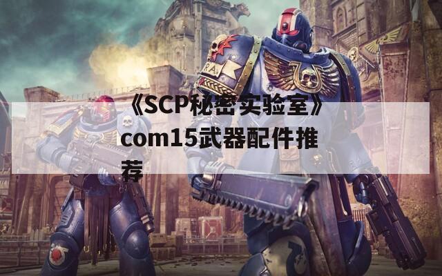 《SCP秘密实验室》com15武器配件推荐