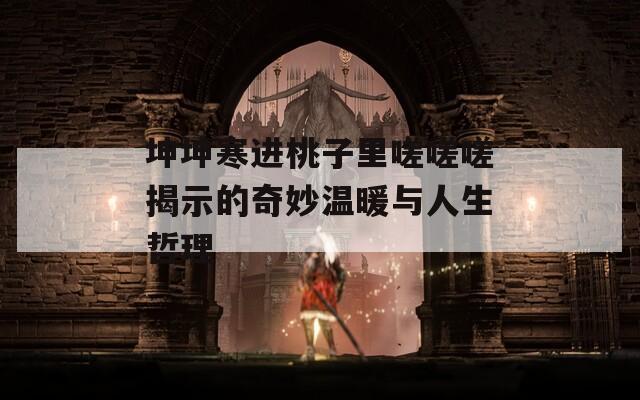 坤坤寒进桃子里嗟嗟嗟揭示的奇妙温暖与人生哲理