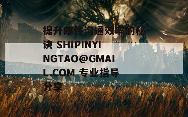 提升邮件沟通效率的秘诀 SHIPINYINGTAO@GMAIL.COM 专业指导分享