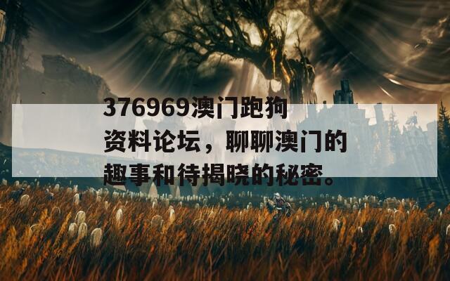 376969澳门跑狗资料论坛，聊聊澳门的趣事和待揭晓的秘密。