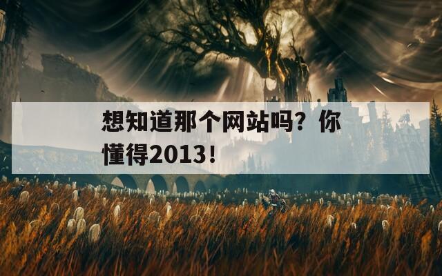 想知道那个网站吗？你懂得2013！