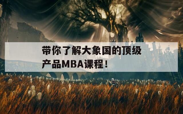 带你了解大象国的顶级产品MBA课程！