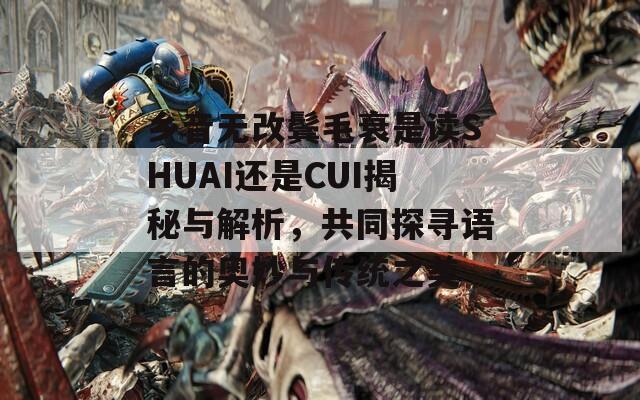 乡音无改鬓毛衰是读SHUAI还是CUI揭秘与解析，共同探寻语言的奥妙与传统之美