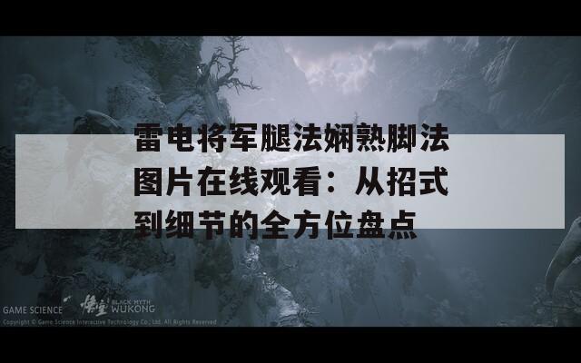 雷电将军腿法娴熟脚法图片在线观看：从招式到细节的全方位盘点