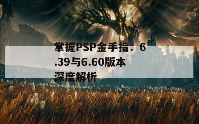 掌握PSP金手指：6.39与6.60版本深度解析