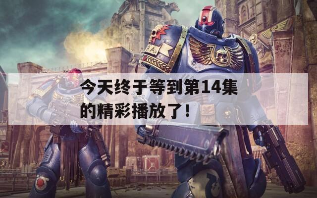 今天终于等到第14集的精彩播放了！