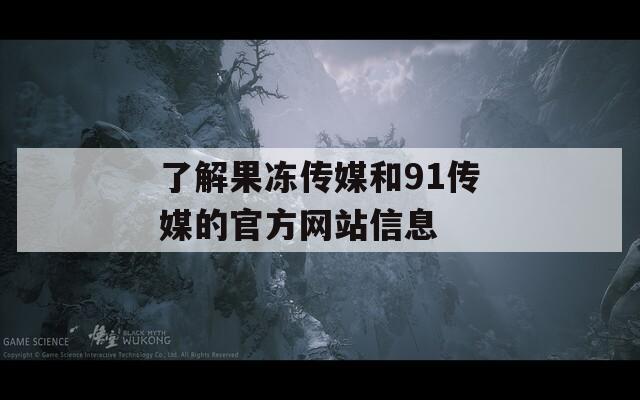 了解果冻传媒和91传媒的官方网站信息